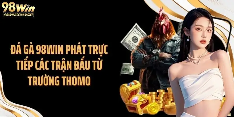 Đá gà 98WIN phát trực tiếp các trận đấu từ trường Thomo