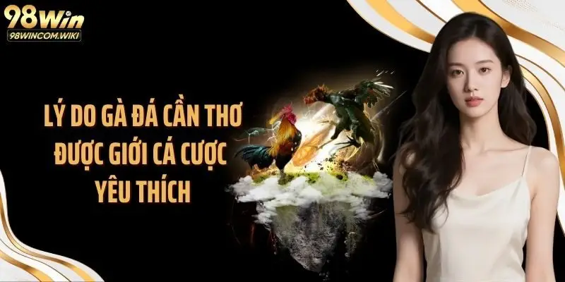 Lý do gà đá Cần Thơ được giới cá cược yêu thích